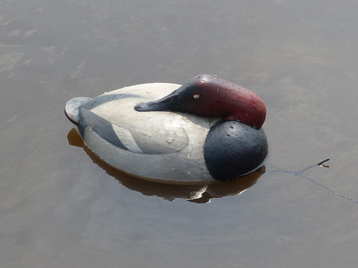 Collecting Decoys: Getting Started Collecting Decoys: Getting Started
